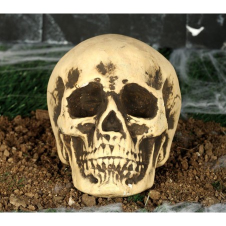 Calavera 22 cm craneo Foam decoracion halloween-Tus Disfraces baratos