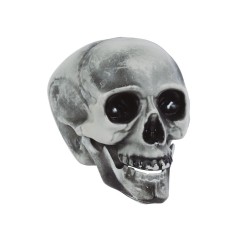 Calavera o craneo gris 20 cm en PVC-Tus Disfraces baratos