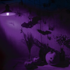 Bombilla Morada 5 w para decoracion halloween-Tus disfraces Halloween