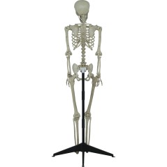 Disfraz diablo hombre tallas-Tus Disfraces