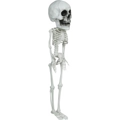 DISFRAZ CALABAZA PELUCHE TALLAS AÑOS HALLOWEEN NIÑO-Tus Disfraces
