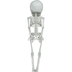 DISFRAZ CALABAZA PELUCHE TALLAS AÑOS HALLOWEEN NIÑO-Tus Disfraces