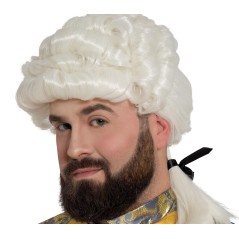 Peluca blanca de epoca coleta hombre -Tus disfraces baratos