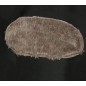 Disfraz moscardon mosca cojonera talla L 52-54