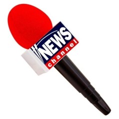Microfono reportero TV news 25 cm 8003558422234 42223