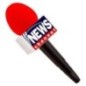 Microfono reportero TV news 25 cm