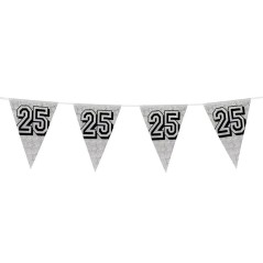 Guirnalda triangular plata 25 aniversario 8 metros 8712026300263 30026