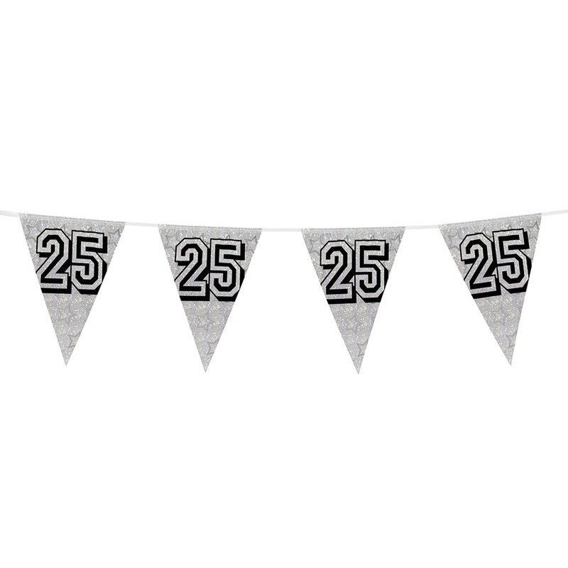 Guirnalda triangular plata 25 aniversario 8 metros Guirnalda triangular plata 25 aniversario 8 metros