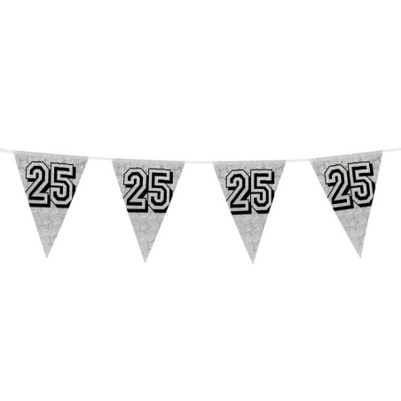 Guirnalda triangular plata 25 aniversario 8 metros 8712026300263 30026