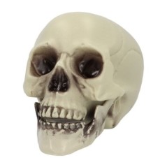 Calavera 15x20x16 cm decoracion halloween 8712026743404 74340