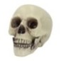 Calavera 15x20x16 cm decoracion halloween