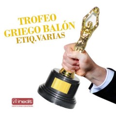 Figura oscar Trofeo balon para deportista 8435525830948 1025