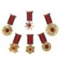 Condecoracion militar medalla con piedra preciosa unidad