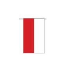 Bandera plastico Cantabria 20x30 cm 50 metros 8422935600209 60020