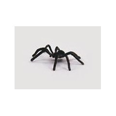 Tarantula clavo peq 76 8435082715160 SAN ROMA