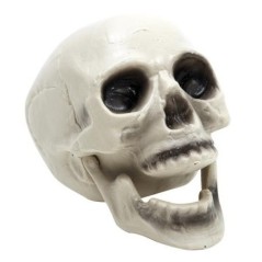 craneo calavera con mandibula movil halloween 316 8435408203166