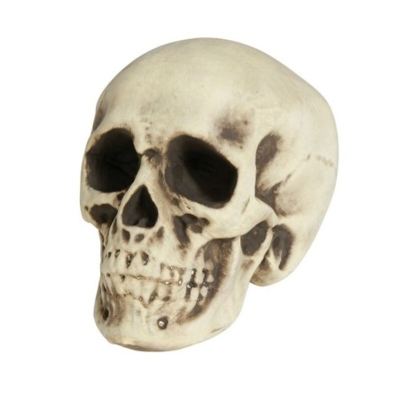 Calavera o craneo humano 20 cm foam