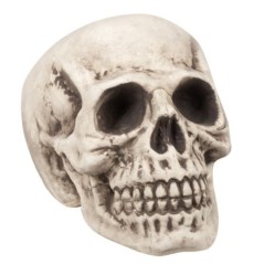 calavera craneo 23x22x31 cm deccoracion halloween 71988 8712026719881