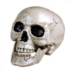 calavera halloween 20x15 cm 74362 8712026743626