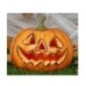 Calabaza halloween 19 cm decoracion