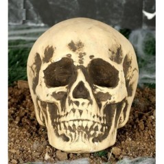 Calavera 22 cm craneo Foam decoracion halloween 8434077262764 26276